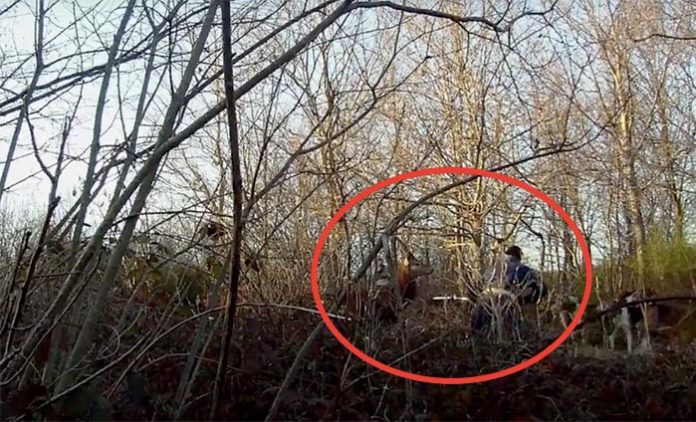 Un Français filme une chasse à courre en caméra cachée