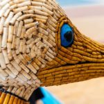 07_Galápagos