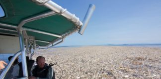 Une nouvelle île de plastique photographiée dans les Caraïbes