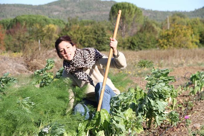 Quand le maraîchage séduit : rencontre avec une « néo-paysanne »