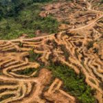 vue-aerienne-de-la-deforestation-huile-de-palme-sumatra-indonesie-NANANG-SUJANA-RAN