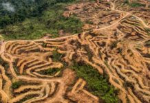 « Tu vois, on savait, mais on a rien fait. »