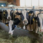 14828306604_8c4bc4b159_o