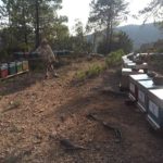 22291212_10155141313458391_6376087669807490179_o