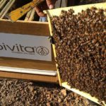 22424643_10155141312283391_1108100496495854078_o