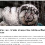 Capture-d’écran-(170)