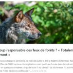 Capture-d’écran-(175)