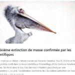 Capture-d’écran-(179)