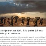 Capture-d’écran-(192)