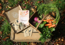 « La boite à planter » : des graines paysannes pour créer l’envie de jardiner