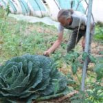 WEB_Projet-Micro-Fermes