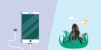 Quel est le lien entre ton smartphone et ce gorille ?