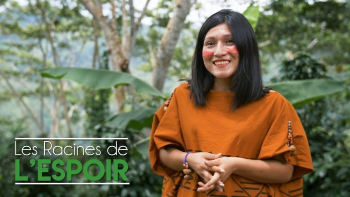 Le vrai visage de la déforestation filmé en Amérique du sud par deux français