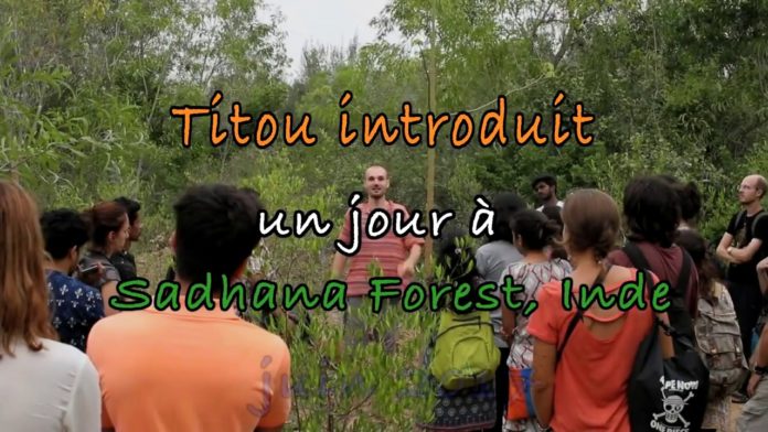 En Inde, cette communauté replante une forêt dévastée