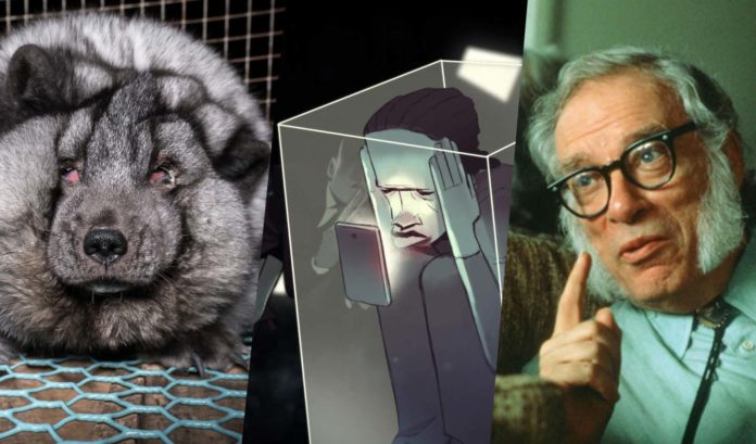 25 informations ayant marqué l’actualité 2017 sur Mr Mondialisation