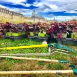 22140801_831741430319922_2759352507387040954_n