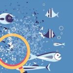 Capture-d’écran-(204)