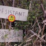 Capture-d’écran-(214)