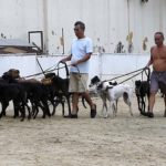 Capture-d’écran-(234)