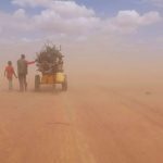 human_flow_still-h_2017