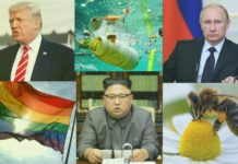 2018, ce qu’il ne faudra pas manquer cette année !