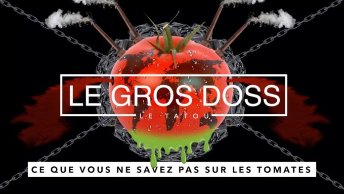 Pourquoi manger des tomates en hiver est un désastre écologique et humain
