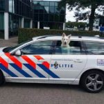 03_police_animaux