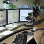 12003976_627841910652880_3815445856347950601_n