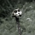 14813196879_3f1b34abaf_o