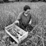 19420564_1567483133326600_6147516620223976754_n