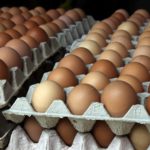 23742629921_4065303f60_o