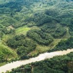 26870578_152013515459766_2638461460052705280_n