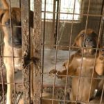 35664239190_18cdc77bf9_c