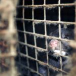 C-gros-plans-mathilde.00_00_13_09.Image-fixe002