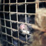 C-gros-plans-mathilde.00_00_13_09.Image-fixe002