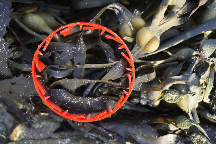 « Ceci n’est pas de l’Art » : la pollution marine exposée par une Normande