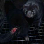 R-bout-a-bout-mathilde.00_07_48_11.Image-fixe074