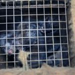 R-bout-a-bout-mathilde.00_10_45_15.Image-fixe086