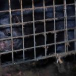 R-bout-a-bout-mathilde.00_18_27_05.Image-fixe110