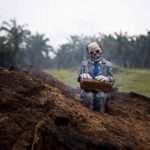 Splash-and-burn-palm-tree-oil-sumatra-Isaac-Cordal-North-Sumatra-Photo-Credit-Isaac-Cordal-