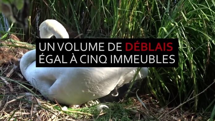 À Paris, un espace vert protégé menacé par un projet de baignade