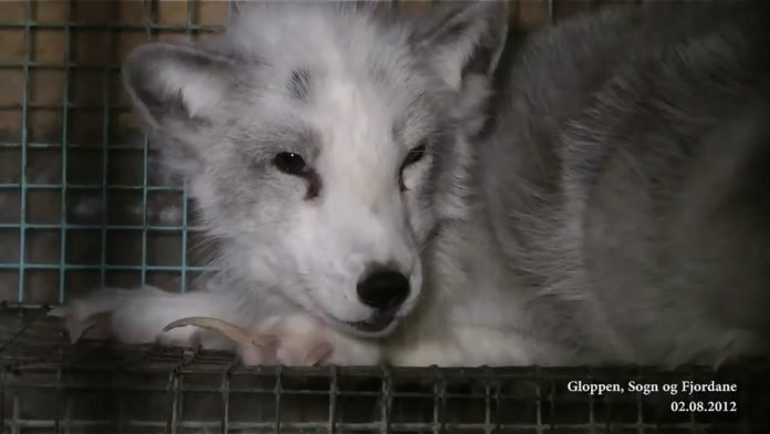 Ce qu’il ne fallait pas manquer dans l’actualité…