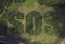 Un message d’alerte géant en pleine forêt de Sumatra