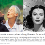 Capture d’écran (262)