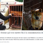 Capture d’écran (272)