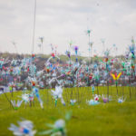 Photo Pierre Esteve-6