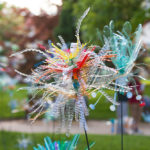 Photo Pierre Esteve-7