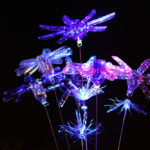 Photo Pierre Esteve-9