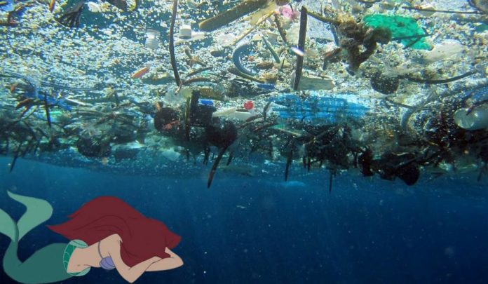 À la chasse aux Larmes de Sirènes