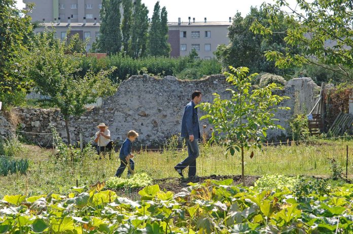 Murs à pêches : un espace vert unique menacé par Bouygues et le projet Grand Paris ?